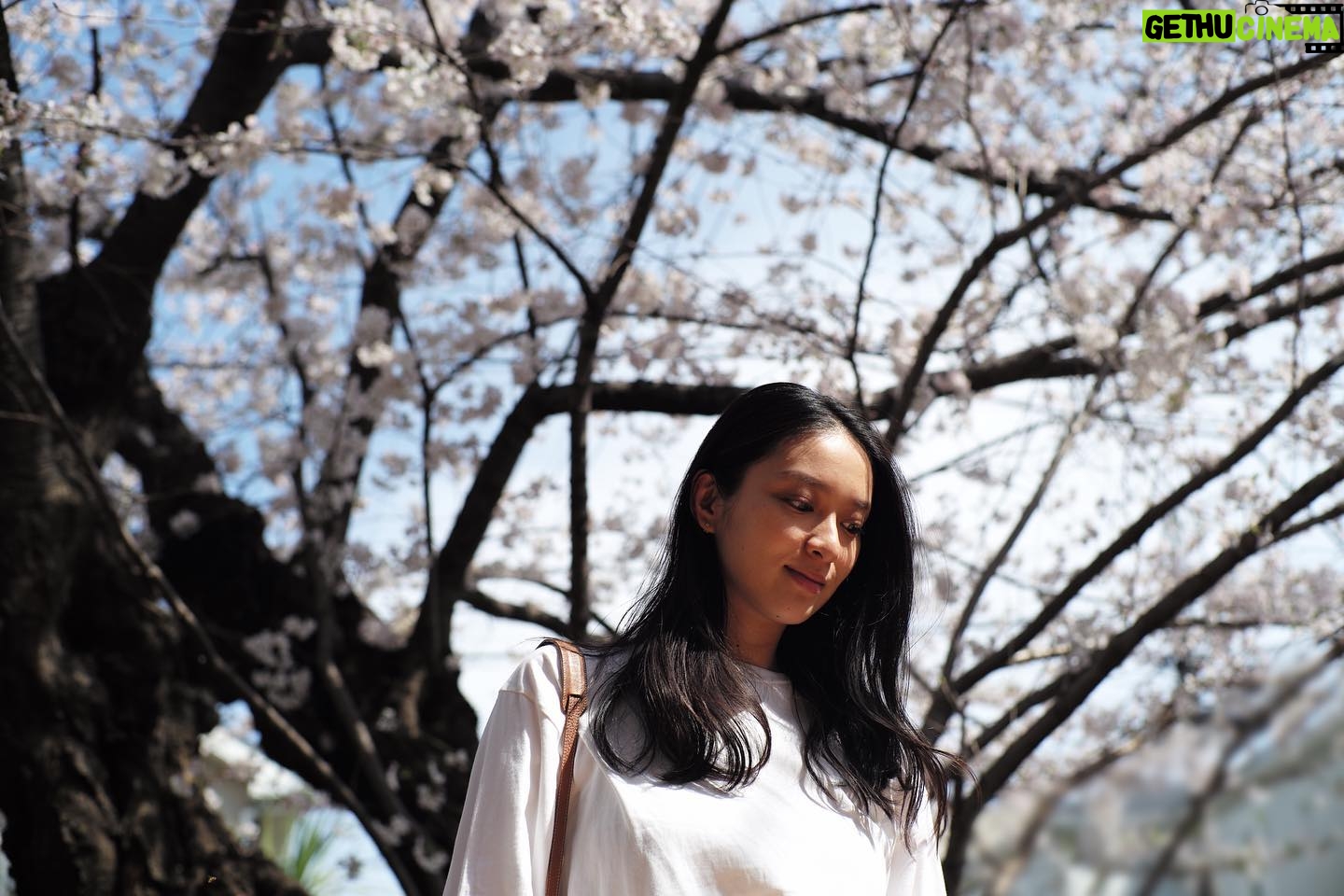 Emi Takei - 62.3K Likes - 🌸4月が始まった。
あったかい日もあったり
急に寒かったり
皆さんいかがお過ごしですか?
桜が満開で思わず
Leica📷を持ち出した日。
綺麗だったー。
自然が好きだなー。
そろそろ釣れますな。😏🎣