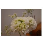 Emi Takei Instagram – わたしが産まれる
うんと昔の年代の
フランスうまれな
ヴィンテージの花器。🇫🇷

そうなの、はまっています…
古いものってどうも惹かれてしまう

3枚目の奥にチラリと写っているのも、そう。
これは大のお気に入り。

さてと
あしたは月曜日だ。
楽しい一週間を🤘