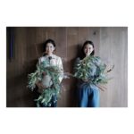 Emi Takei Instagram - @naokotanijiri さんにお誘いいただき、 フラワーデザイナーの百合香さん　@maisonlouparis に 教わりながら、初めてクリスマスリースを作りました。🎄 赤づるの動きに合わせて巻いた土台に ユーカリやブルーアイス、 実がついてるもの(なまえ忘れてしまった)など 好きなものを好きな組み合わせであしらっていく。 やってみると思っていたより 意外と男っぽい作業だったのね！…なんてお話しながら…☺️ 完成。いい感じ、いい感じ。 初めは一緒なのに最後はそれぞれ違った印象のリースに。 手作りって、特別ですね。 飾ってからも、 毎日ユーカリの香りが 部屋いっぱいに広がっていて幸せ。。 直子さん、百合香さん ありがとうございました。 📸by @naokotanijiri