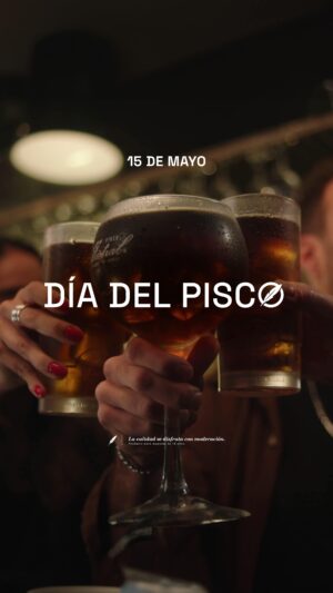 Emilia Daiber Instagram - ¡Este 15 de mayo únete y celebremos el Día del Pisco con el orgullo que se merece! 

#PiscoMistral #AñejadoEnRoble #DíaDelPisco

#publicidad