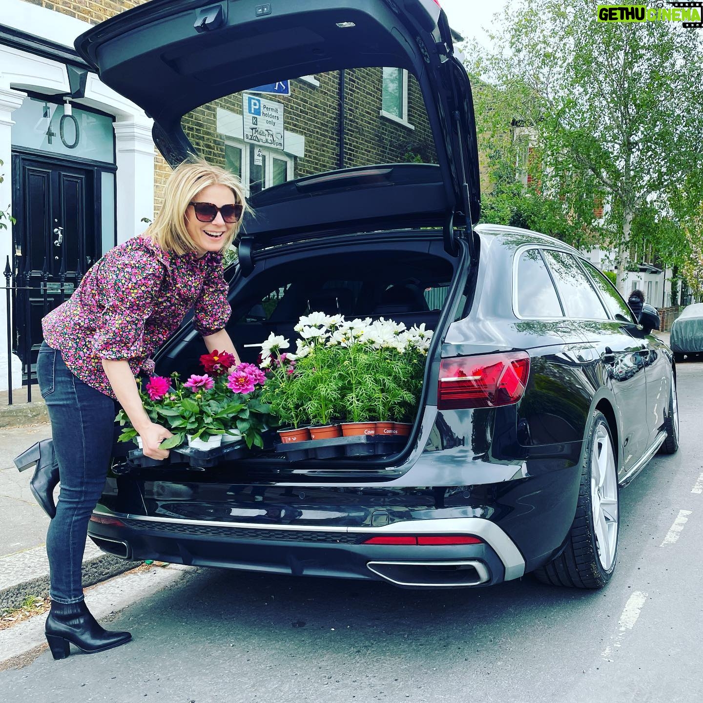 Emilia Fox - 8.2K Likes - Thank you @audiuk for making boots big enough for all my summer planting! #ad #cosmos #pinkpelargonium #dahlia #clairemischevani #clairemischevanitop 🌺🌸🌷🌸🌺🌷🌸🌷🌺🌷🌸🌷🌺