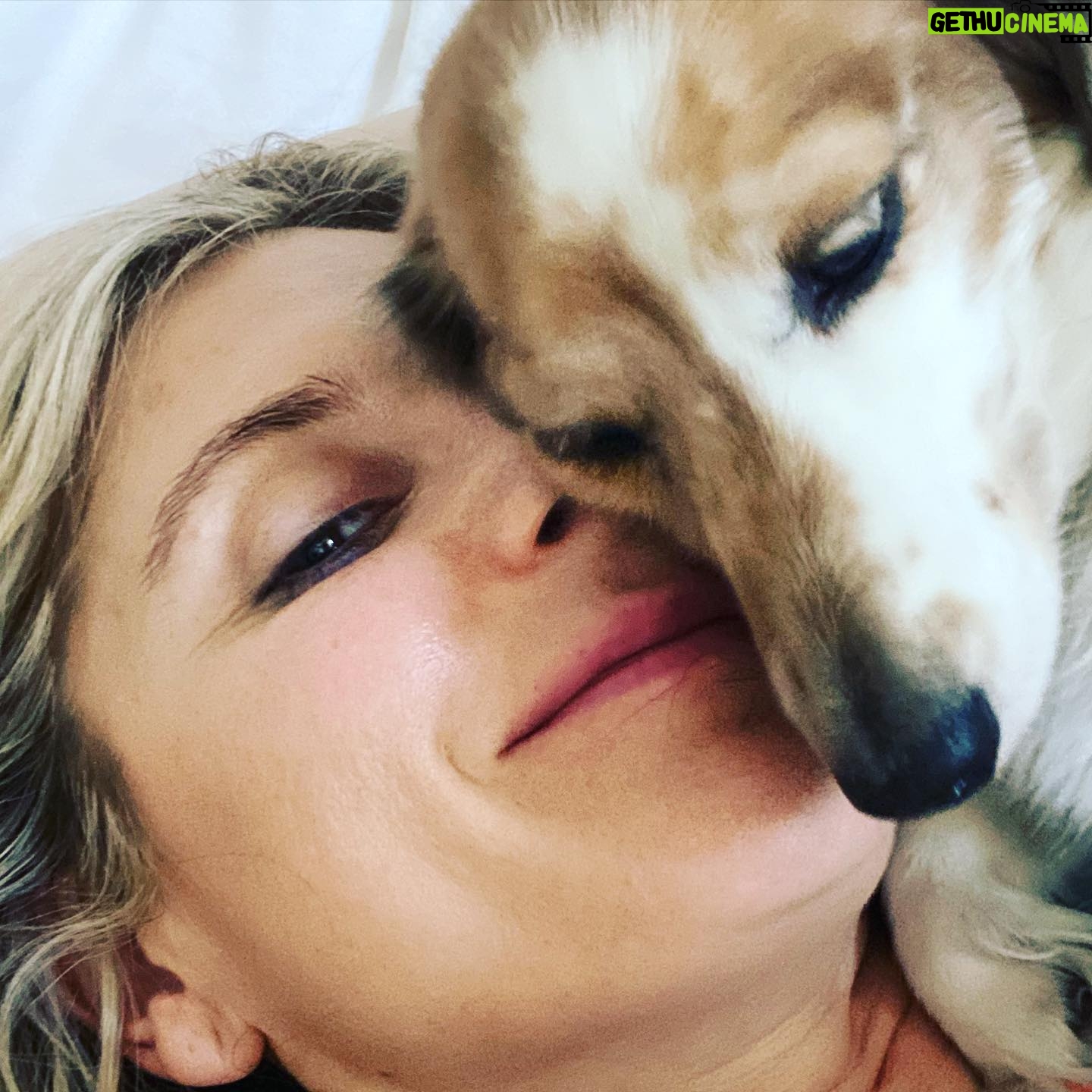 Emilia Fox - 6.4K Likes - Hello Dolly! Yes, I 💗 you too! #morningwakeupcall #theycallitpuppylove🐶 #sundaymorning #noplacelikehome