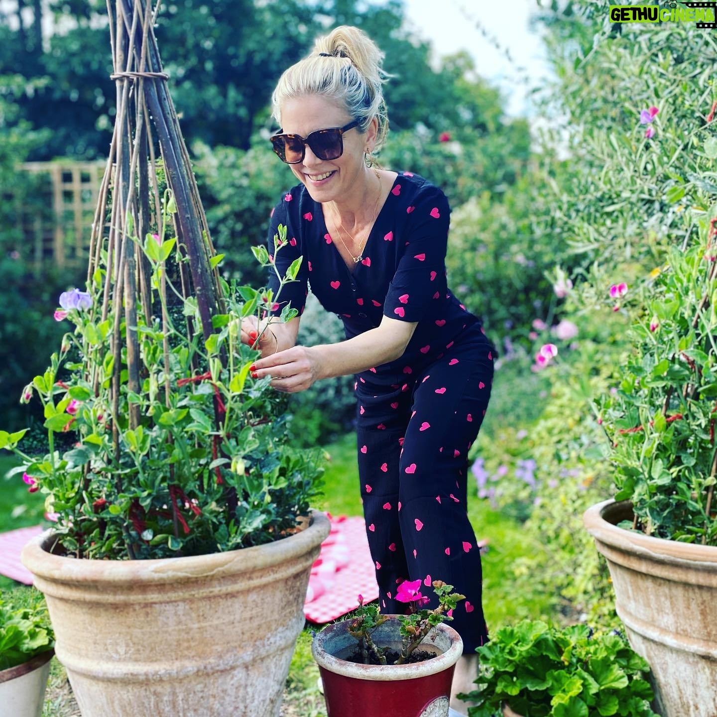 Emilia Fox - 6.5K Likes - Perfect day for a bit of hearty gardening! ❤️💗❤️💗 I have had home grown, jam jars full of sweet peas every day which smell so delicious, look dreamy on the kitchen table and make me so happy. I am love, love, lovin’ my new ❤️ jumpsuit from @nobodyschild too. I saw it and couldn’t resist a post lockdown treat! #summerdays #holidayathome #hearts #sweetpeas #jumpsuit #homesweethome