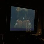 Emilia Lazo Instagram - “Cuerpo, luz, sombra y alma”fueron algunos de los conceptos que nos guiaron para crear el videoclip de “Alma vieja” con nuestro querido @colectivo.delirio 🎥 Esperamos que lo estéis disfrutando tanto como nosotros disfrutamos de la locura del proceso creativo junto a un equipo de artistas increíbles❤️‍🔥 LINK IN BIO! @emiliaypablomusic