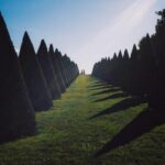 Emilia Schüle Instagram - now that I am out of my 7 month shooting rabbit hole - I‘ll be catching up with sharing more of my @leica_camera photographs of my last years travels and the filming period 🫱🏻‍🫲🏼🐰🕳️🎬 📸 🌍