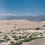 Emilia Schüle Instagram - Nevada x 🎞️
