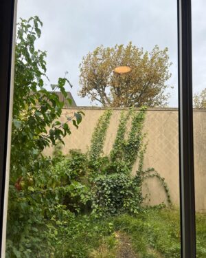 Emilia Schüle Instagram - Sommer, Herbst und Winter in und um Paris (Bild 4, Blick aus meiner Garderobe auf den Herbst, den ich leider verpasst habe, weil 10 Wochen Studiodreh) - 75 / 95 Drehtage done ✔️ @canalplus #S2MarieAntoinette
