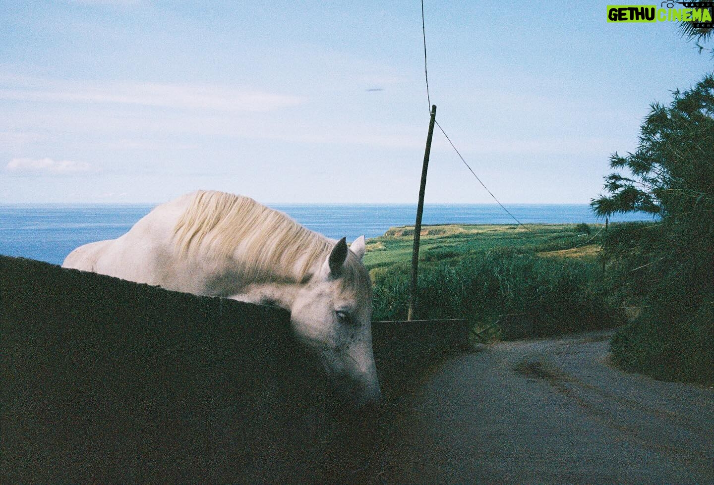 Emilia Schüle Instagram - x @emilia.schuele „The camera has always been a faithful companion in my life. It was during the pandemic that, for the first time in life, I lost my drive and inspiration for photography. I decided to bring it back by starting to shoot on film. What can I say…? I fell in love with it all over again! No more endless snapping; a mindful, decelerated process of creating an image. Analogue photos leave room for anticipation and surprise. The ecstasy you feel by seeing your newly developed prints is unparalleled. I’m so excited to be featured on my favourite analogue photography account @loadfilm and to share some snaps from summer travels to the Azores, Colombia and Canada✨“ — Emilia Schüle —— We are absolutely thrilled to welcome the enchanting german actress, Emilia Schüle, as our first contributor to provide us with exclusive insights into her summer travels in 2023. Emilia's images tell their very own story and convey an extremely cinematic feeling. We are particularly enamored with her ability to capture a range of emotions with her moody imagery and impeccable angles. She effortlessly transitions between eye-level shots and intriguing perspectives, creating a diverse and engaging visual experience. She carried the 📷 #leicam6 rangefinder camera and the #leicaminilux point-and-shoot camera in her luggage. These carefully selected images were captured using the versatile 🎞️ #portra400 film stock by Kodak. Emilia — thank you for your trust. #loadfilm #emiliaschüle Curated and written by @mauricepehle