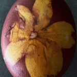 Emilija Baranac Instagram – close-up of an easter egg mama made