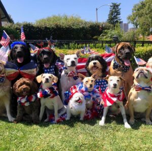 Emily Procter Instagram - Happy belated birthday America! ❤️💙