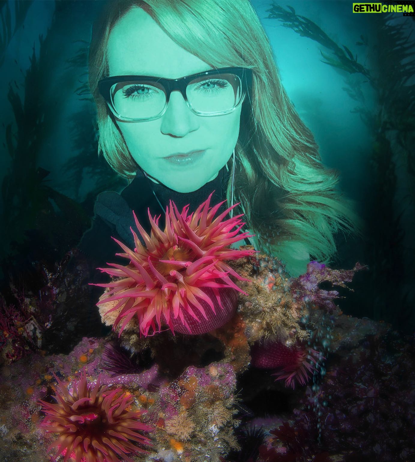 Emily Tarver - 3.9K Likes - Join me in supporting ocean protection and climate action with these ocean-inspired lenses available at glowing.org @GlowingGone. Share your image with #OceanLeague and your creativity will inspire international action. I'd love to see your creations so feel free to @-tag me! Thanks @julie__lake for telling me about this :)🐠 🐟 🐠🐟🐠🐟🐠