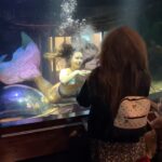 Emily Alexandra Guglielmo Instagram - 🧜🏻‍♀️ Sirens have more fun …… 🌞 Summer Vibes All Year Round ~ 👀 Watch MerPeople on Netflix OUT NOW 🎬 Life of a mermaid… Part.2 #sexysiren #merpeople #merpeoplenetflix #docuseries #sirensummer #sultry #sultrysiren #lifeofamermaid