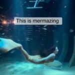 Emily Alexandra Guglielmo Instagram - 🧜🏻‍♀️ So proud to be part of @mermaids.make.waves 🌊 Making waves in 2024 ~ ✈️ Stay Tuned for Tour Dates #thefloridamermaid #theamericanmermaid #underwaterentertainment