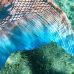 Emily Alexandra Guglielmo Instagram - 🧜🏻‍♀️ I promise I’ll show you that mermaids truly are real 🪄 Isn’t it true that we can summon anything we THINK to become real…. ✨ So real it is ….. 💡All we have to do is start by thinking and believing it ~ and therefore it is ! 🚨DISCLAIMER : There will be work involved to get there #balance #thesecret #thinkingisbeliving #magic #mindfoolery #thinkandgrowrich #askandyoushallreceive #believefirst #youmusthavefaith #timeisnow #v3 #iloveme #happinessisthenewsexy