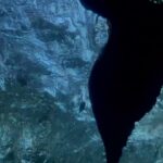 Emily Alexandra Guglielmo Instagram - 🧜🏻‍♀️ This was mermazing to be featured in 🙏🏻 🏆 Award winning at @sundanceorg 2022-2023 🎥 The Film Below by @headmazepictures 🫶 Such an amazing set of people to work with from @fullsail #fullsail #fullsailuniversity #shortfilm #awardwinning #sundance #sundancefestival #sundancefilmfestival #orlandofilm #floridafilm #professionalactor