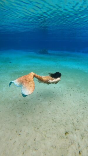 Emily Alexandra Guglielmo Instagram - Feeling enchanted by this underwater paradise 🧜🏻‍♀️ 

Makeup @emilyalexandracosmetics 
Tail by @merrowfins 
Video by @guardianofthesprings 
Camera @gopro 

#mermaidtail #theamericanmermaid #thefloridamermaid #freediving #mermaidlife #mermaidfreedive #freedivemermaid #padimermaid #freedvingmermaid #professsionalmermaid #floridasprings #floridamermaid