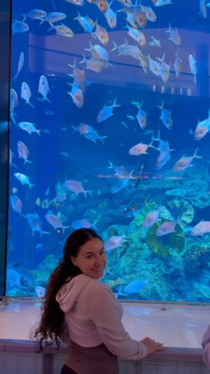 Emily Alexandra Guglielmo Instagram - ✈️ When in Dubai ~ 

🧜🏻‍♀️ Mermaids are global … Didn’t you know ? 

@thedubaimall 

#mermaidsareglobal #whenindubai #globalentertainment