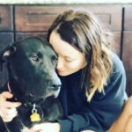 Emily Browning Instagram – Here’s ten pictures of ma best friend coz he’s a perfect baba and coz I’ve been away from him for three whole weeks and coz I miss him so much ma heart hurts ❤️❤️😭❤️❤️ #trouble #thegoodestboy #myson #psitslaureldummies