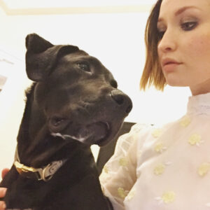Emily Browning Instagram - Puppy glamour shots with Trouble, post @sagaftrafound panel... and pre having my head/face slobbered all over 💖🐶💖