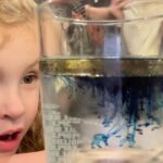 Emily Calandrelli Instagram - Comment SCIENCE CLUB to pre-order to get 50 easy science experiments 🌈 My book has 50 science experiments just like this one! As you can see, the science experiments can be quite easy! But each experiment in my book is so much more than the activity. I connect the science in the book to the world around them. I challenge the reader to make hypotheses - or to change the experiment - to make it their own. The colorful flashy activity grabs their attention. My book helps connect it to something more. It helps the child learn to think like a scientist and gain confidence in their own ability to ask questions. 6 more days until it’s released!!