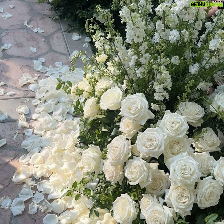 Emily Calandrelli Instagram - A black tie affair at a real life Bridgerton-level wedding. We had to piece together childcare to make it work so that we could both come and we’re so grateful to family and caretakers who all came together to allow us to experience this beautiful wedding. Congratulations to the most beautiful couple @mack_harper_ 👰🏼♀️ and @f.h.mcgregor 🤵🏻♂️