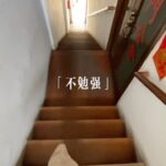 Emily Chan Instagram - 把這些照片/視頻都發上來 不知道朋友會不會跟我絕交哈哈哈哈 長大後發現越來越無法對人產生信任 但想要繼續活下去的話 還是要相信人 也要相信有人會真心相信你 在友情裡 說不定會學習到比愛情更多 #emsaid