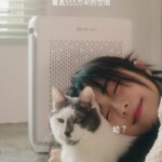 Emily Chan Instagram - 致笨喵： 茫茫喵海中，遇見你真的是很幸運的事。 謝謝你在沒有貓喜歡我的時候，第一個搖著尾巴向我走來。 總是靜靜地讓我抱抱你，無論我有沒有洗頭。 謝謝你比任何人都更有耐心，讓我覺得自己也是一個可以被貓擁抱的人類。 一直都相信，傻傻地和寬容的靈魂總會有很多福氣， 所以你一定也是隻有福的貓（雖然看身材已經知道）。 要健健康康的，零食一天吃一條就好了。 em 給自己和毛小孩築一個健康的窩， Levoit Vital 100S 宠物空气过滤器， 把猫猫的毛毛吸附在可以清洗的过滤网， 还可以过滤家里的气味恢复清新， 让呼吸之间都安心快乐！ 3/3 有促销，大家可以到 IGS 按🔗查看详情喵～ @levoitmy #levoit #levoitmalaysia #airpurifier #petairpurifier #levoitVital100S