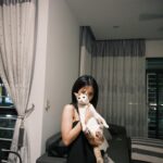 Emily Chan Instagram - 昨天是情人節，跟朋友吃晚餐的時候，聊起從前談戀愛和現在有什麼變化了呢？ 無論到幾歲，愛情都像洋蔥，一瓣一瓣剝開，層層辣眼睛的都是憧憬和期待。說自己不抱期待的人，談的不是愛情，是別的東西。 隨著年齡愛情有變化嗎？我覺得是沒有的。 只是隨著經歷，學會了管理期待而已。 就算重來一次，大概還是會受傷。仔細想想沒什麼好後悔的，都是一場賭注。把自己交託多少出去，不一定會換回多少。覺得幸運的是，無論重來多少次，還是有勇氣作籌碼。 也許學會多保護自己一些，但遇到真的喜歡的就又豁出去了。教人如何愛自己的建議一堆，我倒是覺得現在愛自己過剩的人也很多。一直都覺得愛情是用來治驕傲和聰明人的，擁有太多自我，談再多次戀愛也只搞懂了一半。沒人能在愛情裡全身而退，全身而退的人，談的也不是愛情，是別的東西。 我們可能都沒有改變，只是來去多了一點，少了一點。 遇到愛情時，都還是那樣的自己。 Btw 遇到互相喜歡的人不難，遇到你喜歡的貓也喜歡你比較難。 祝有情貓（？終成眷屬，你喜歡的貓也喜歡你。 遲來的情人節快樂 🌸 #happyvalentinesday