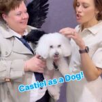 Emily Swallow Instagram – Looks like it’s #supernaturalsunday, cause I have to post about the CosPaws winner from @bigrivercomiccon!!! 

Daisy Angel had her very own #Castiel wings to match her mama.  And apparently she also has a #Dean costume 😳 😳 😳. 

I am officially requesting more dogs cosplaying as #SPN characters.  Anyone want to make #arthurmillerthepugabull a Dean costume?

#spnfamily #cosplay #mishacollins #angelwings #poodle #cospaws #bigrivercomiccon #hannibal #dogcosplay #dogsofinstagram #doggo