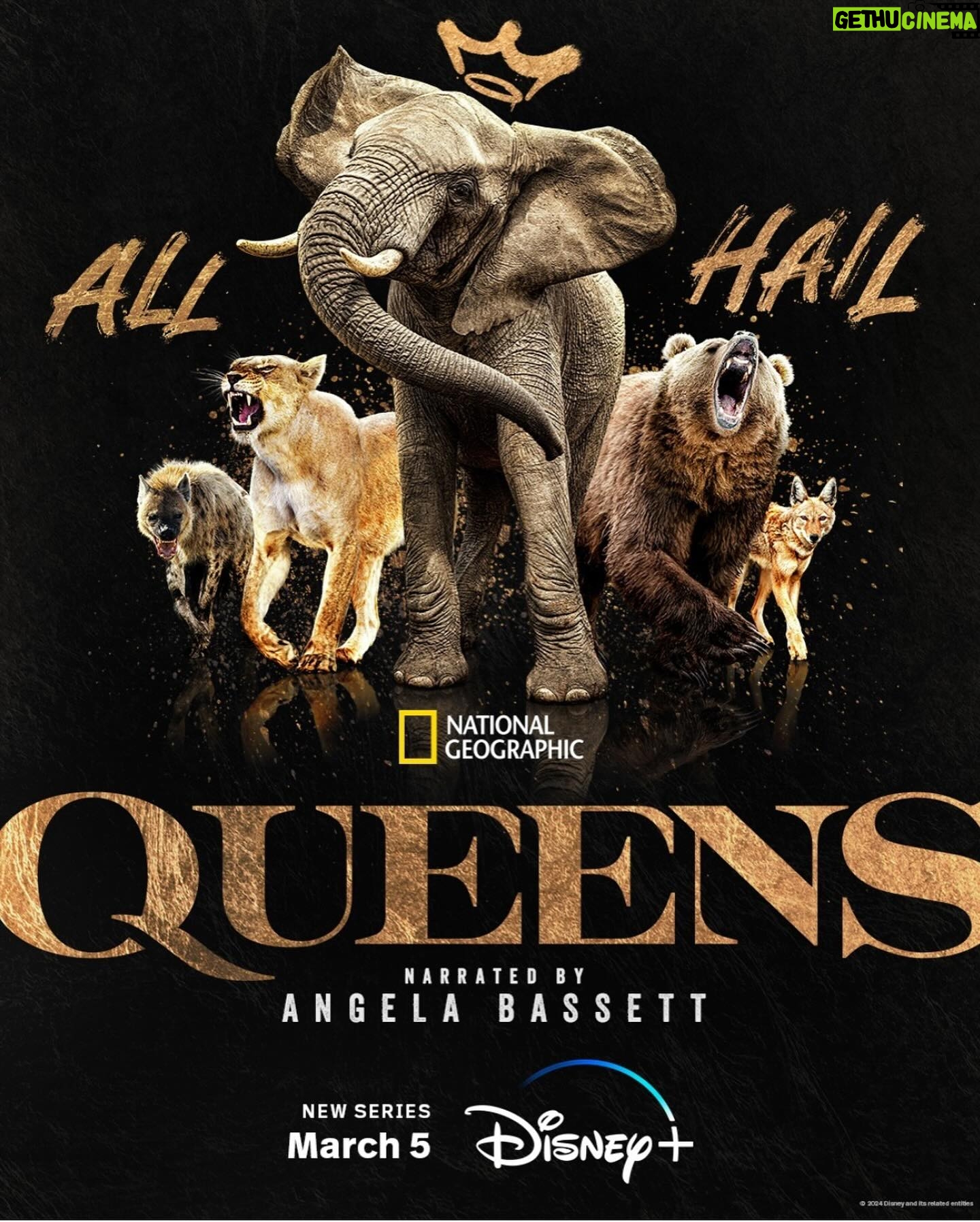 Emily Swallow Instagram - All hail the #NatGeoQueens! I had my first slay moment with the #GlamBot, got fierce with @missmistyrosas and celebrated a group of fierce women who made a docuseries that is both deliciously pretty to watch AND has a sharp narrative driven by @im.angelabassett’s voiceover- I never knew I could get so caught up in a rivalry between lionesses and hyenas… Check it out when it premieres in March! @natgeotv #lioness #hyena #docuseries #animalkingdom #hearmeroar #fierce #slay
