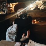 Emily Wickersham Instagram – a little bit of love recently
