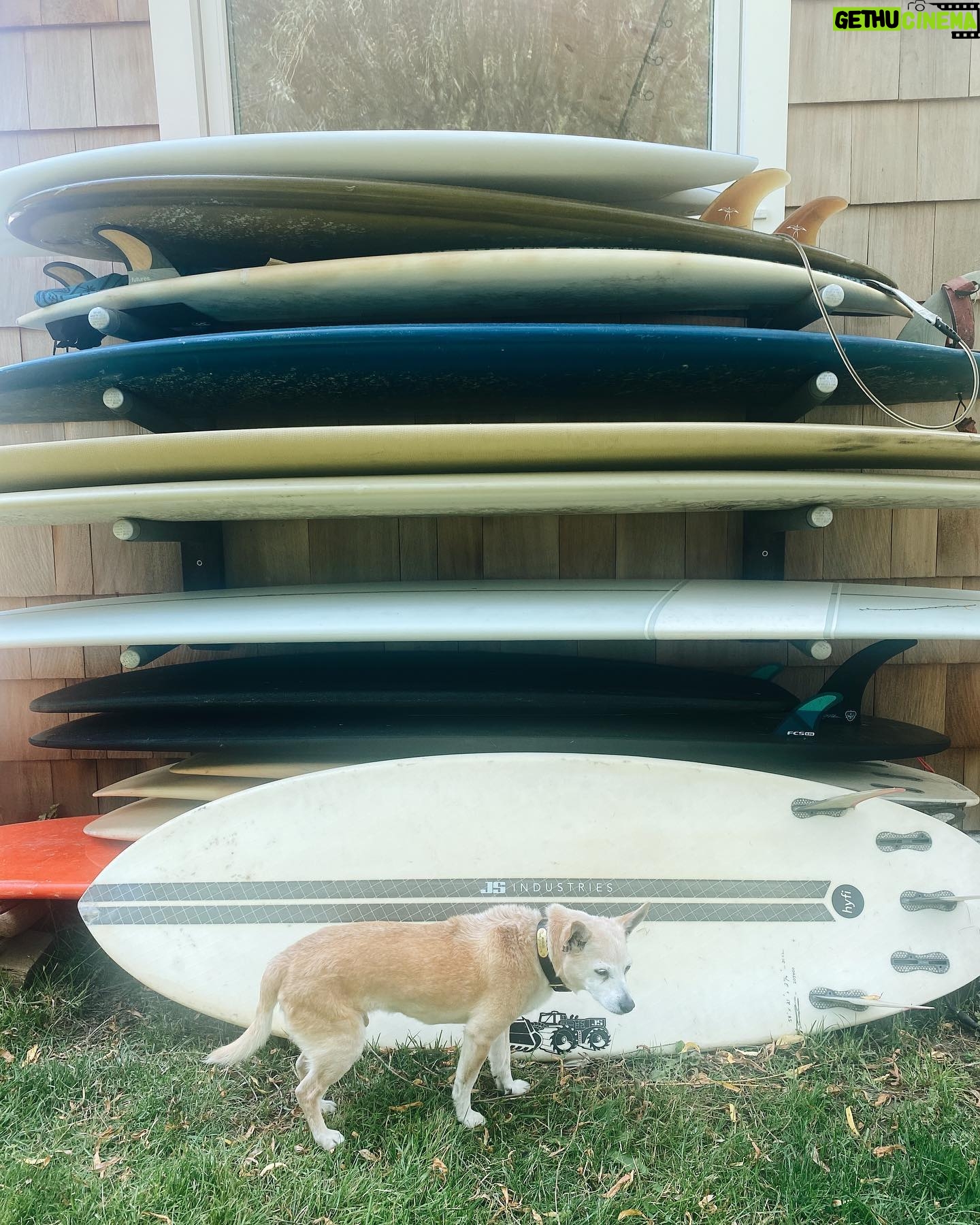 Emily Wickersham Instagram - aLittlebitofLately