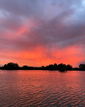 Emma Appleton Instagram - An ode to summer, sunsets and dogs