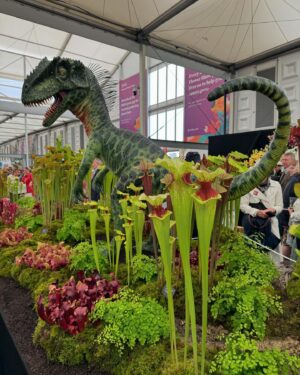 Emma Barnett Instagram - A day filled with joy, creativity, colour and…. rain! Loved going with my great friend Rendah Beshoori @ren2852 to see what has been conjured at the #chelseaflowershow - it was a feast for the eyes from the moment we left the tube station at Sloane Square before even getting into the show… and then the heavens opened and never stopped. And despite both wearing cream that was far from cream by the end of the day 😜 - we happily ploughed on. A friendship formed at the school gate, we’ve dealt with worse weather and there were no 6 year-old boys to manage.

Huge thanks to all of the gardeners, designers, nurseries and everyone else in putting on such a fabulous show. As someone who knows little about plants and flowers, but would like to learn more, it was also a beautiful education. And I met a few of our @bbcradio4 @bbctodayprogramme listeners too. An extra bonus. 
Such great fun to see @clare_meandem - aka the (Northern) powerhouse behind @me_andem after taking her amazing British brand to NYC. We had a great chat about all things Manchester and Saddleworth, from whence we hail, and the brilliance of trousers with side zips that don’t cause tummy pressure (although the ones I am wearing have a frontal zip but are loose enough). This is not an ad. I’ve shopped at hers for years and my endo-ridden body is grateful for her design prowess! 
Now I’ve finished wringing out my sodden trousers from said rain - I wanted to share some snaps. Including us taking shelter in a stunning summer house (no, me neither until I asked) that I have mentally moved into but sadly didn’t take home on the tube. 🚇

#rhschelsea #gardens #rhschelseaflowershow #rain #beauty #femaledesign #trousers #women #flowers #plant 🌱 🪴 🌹 🌺 🌱