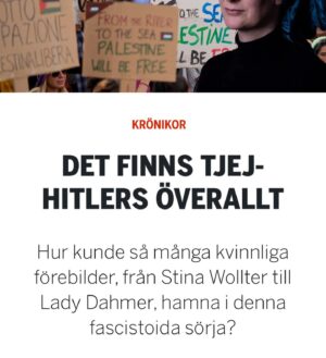 Emma Frans Instagram - Vill bara föra till protokollet att jag myntade begreppet ”tjej-Hitler” år 2017