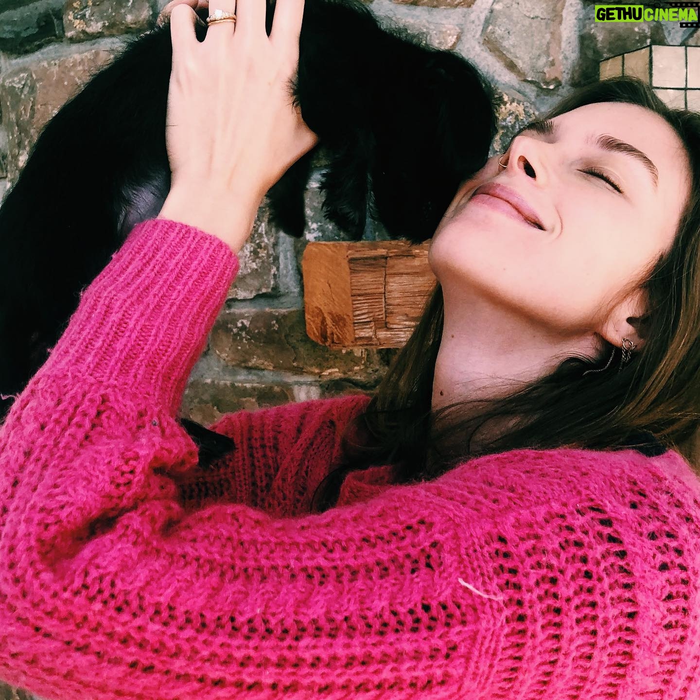 Emma Ishta - 1.2K Likes - Forever a dog auntie