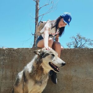 Emma Lahana Instagram - happy 4th of july from me and huey @lockwoodanimalrescuecenter 🐺 🇺🇸