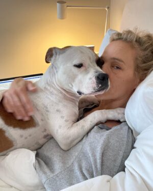 Emma Wiklund Instagram - Our Amstaff girl will never miss out on a sleepy morning❤️#amstafflove