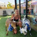 Emma Keitmann Instagram - My new friends from last year 🐐🩷 I want one now 🥹 (The last pictures are gifts 😂)