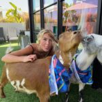 Emma Keitmann Instagram - My new friends from last year 🐐🩷 I want one now 🥹 (The last pictures are gifts 😂)