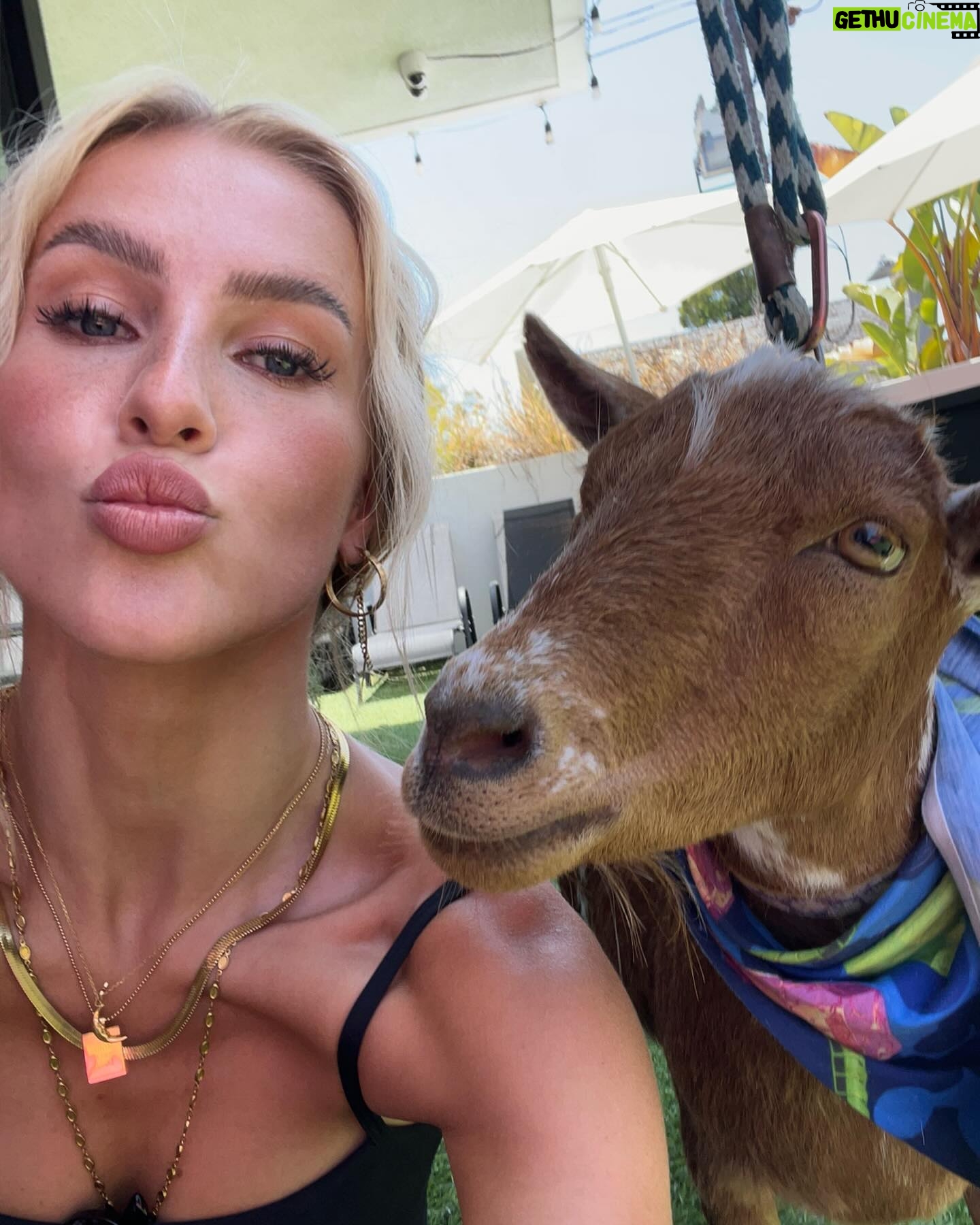Emma Keitmann Instagram - My new friends from last year 🐐🩷 I want one now 🥹 (The last pictures are gifts 😂)