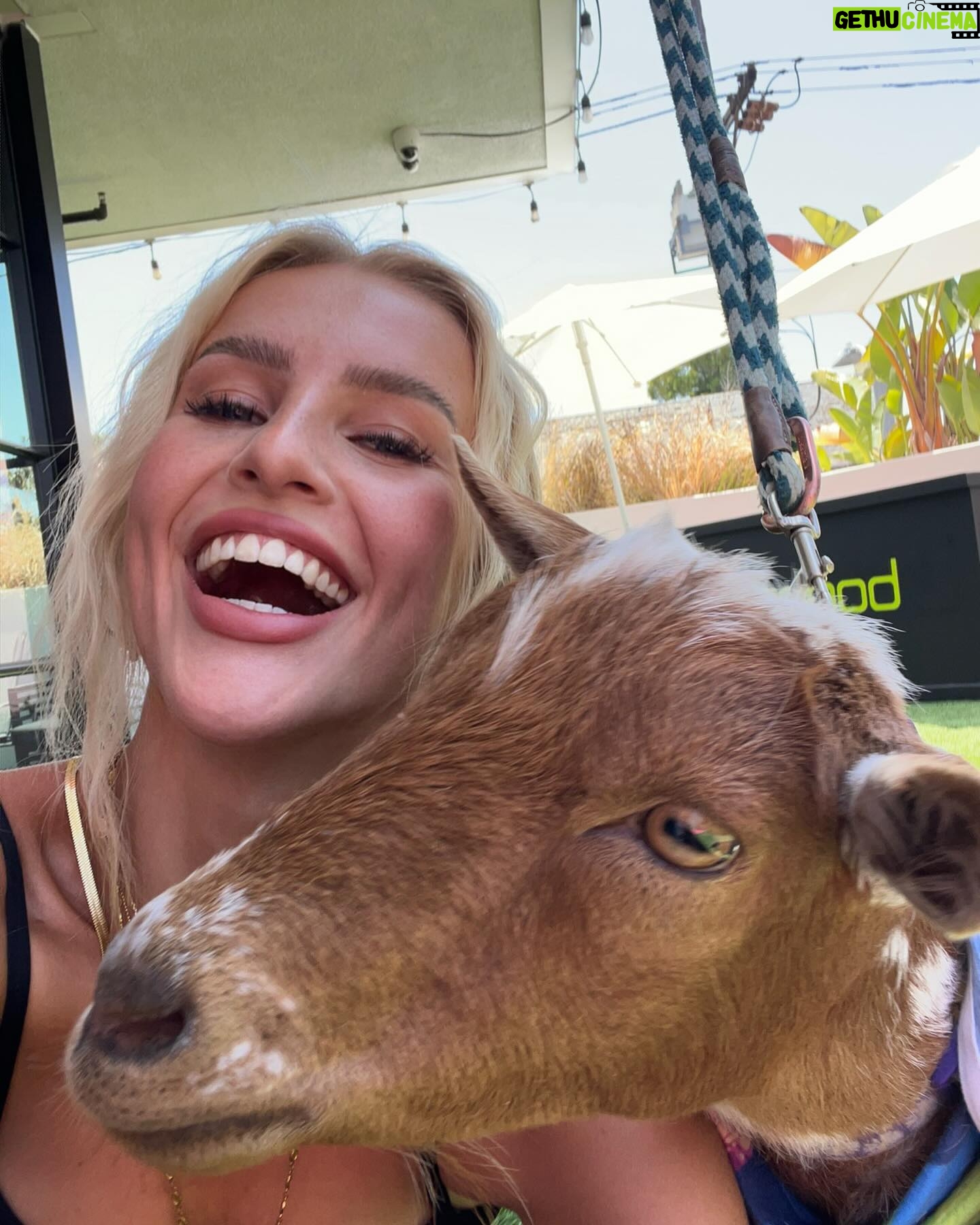 Emma Keitmann Instagram - My new friends from last year 🐐🩷 I want one now 🥹 (The last pictures are gifts 😂)