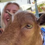 Emma Keitmann Instagram - My new friends from last year 🐐🩷 I want one now 🥹 (The last pictures are gifts 😂)