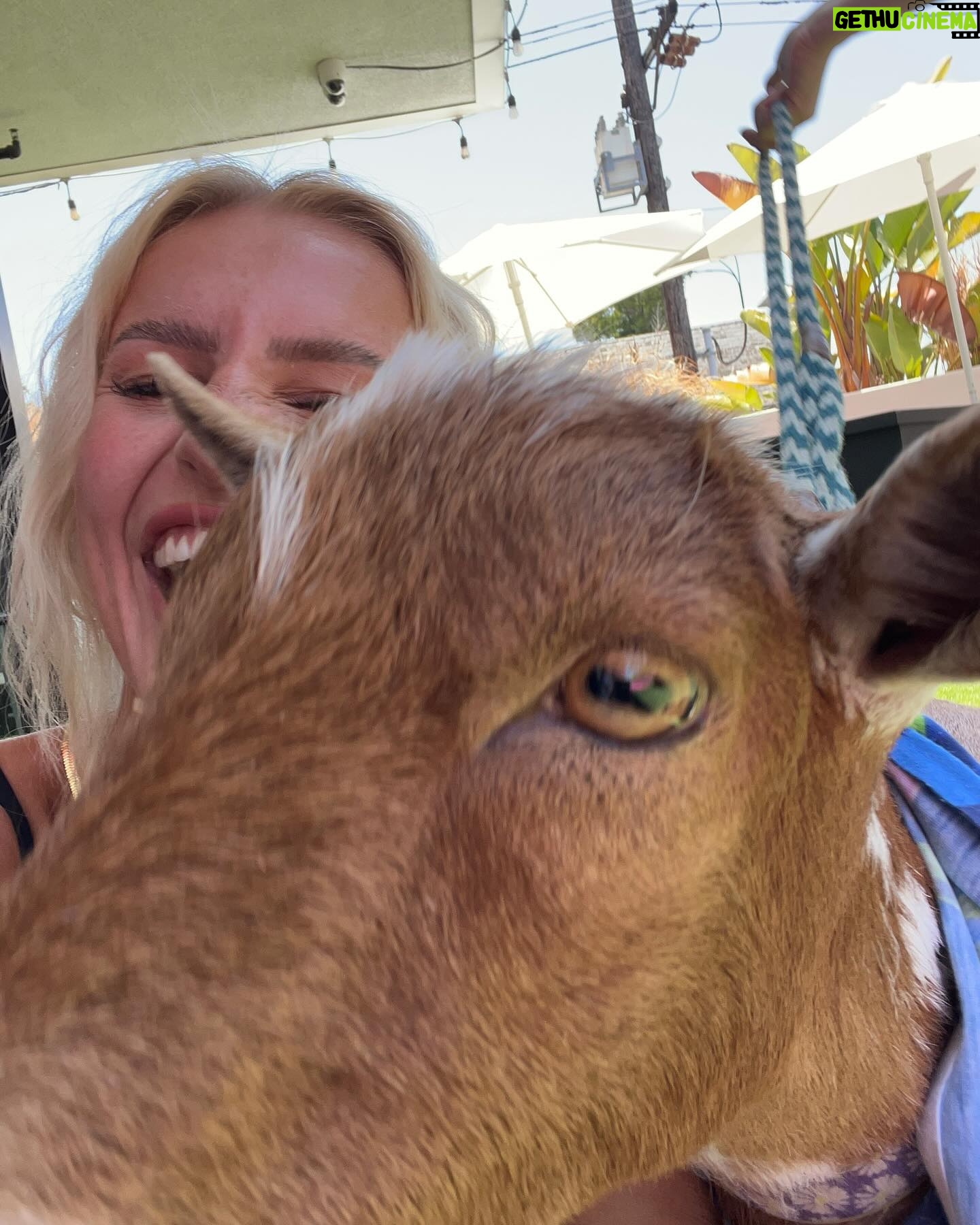 Emma Keitmann Instagram - My new friends from last year 🐐🩷 I want one now 🥹 (The last pictures are gifts 😂)