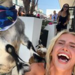 Emma Keitmann Instagram - My new friends from last year 🐐🩷 I want one now 🥹 (The last pictures are gifts 😂)