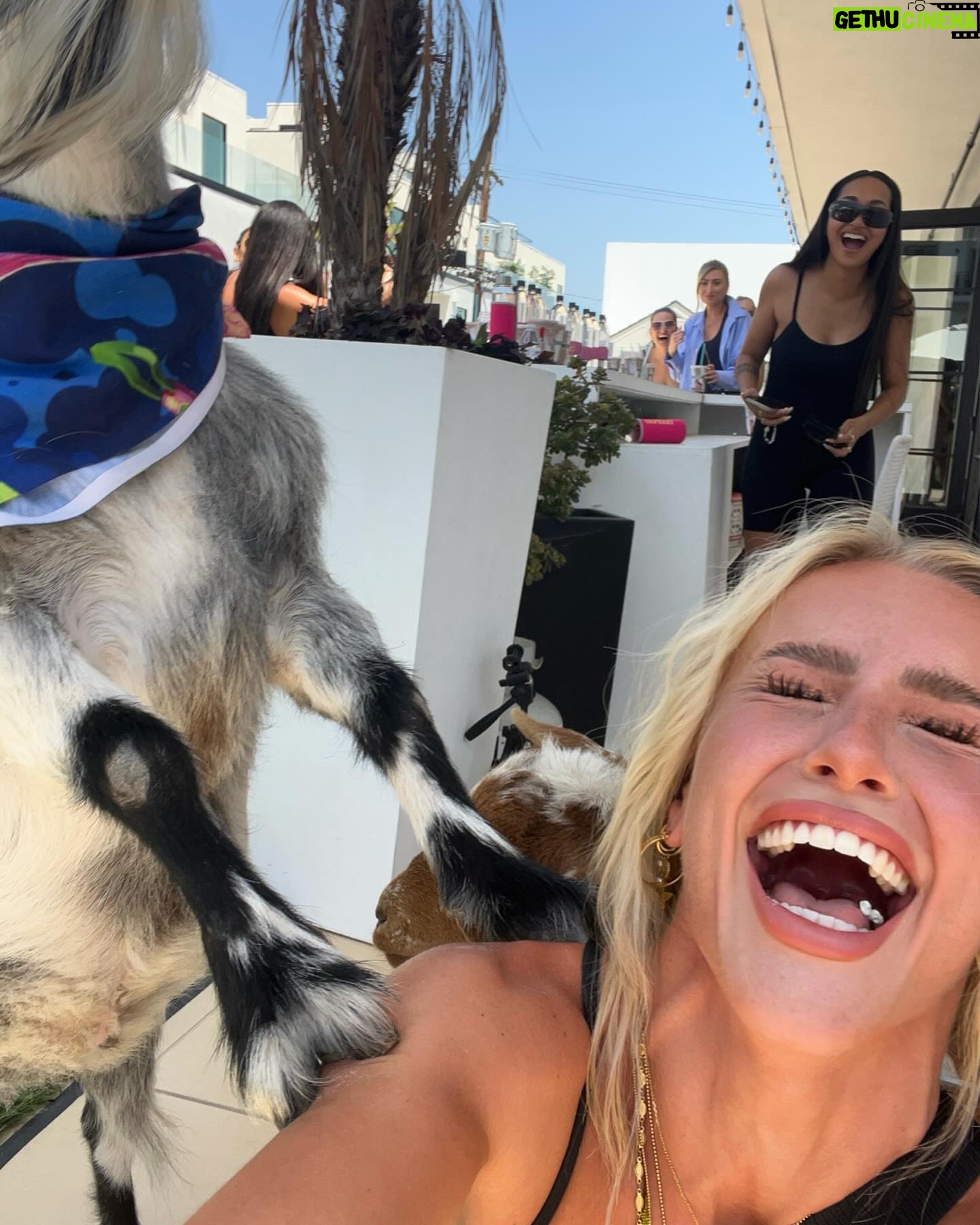 Emma Keitmann Instagram - My new friends from last year 🐐🩷 I want one now 🥹 (The last pictures are gifts 😂)