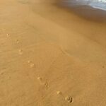 Emma Smet Instagram - 🦭⛱️
