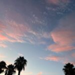 Emma Smet Instagram – 🌴