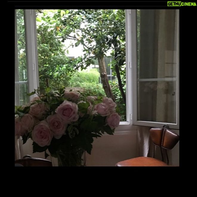 Emmanuelle Béart - 2.6K Likes - 🌸🏠