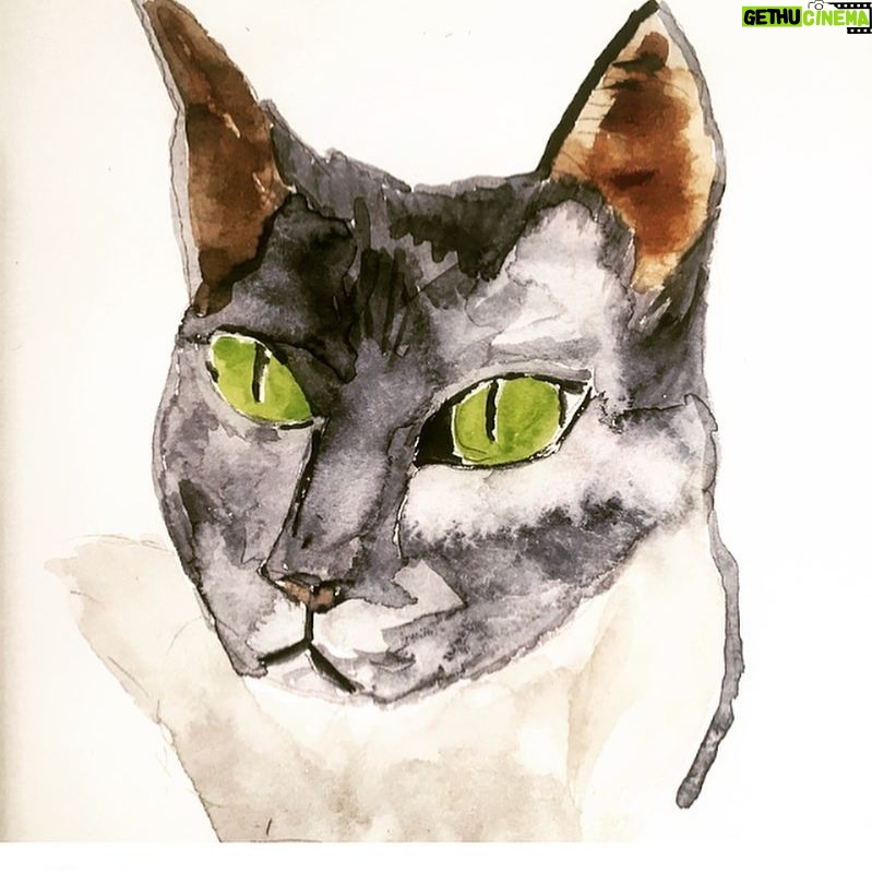Emmanuelle Béart - 2.3K Likes - Mon chat adoré qui s’en va petit à petit ...my beloved cat who goes away little y little. 😥 🎨 #byme